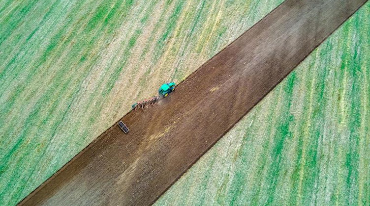 Ein Traktor zieht Pflug und Egge über ein abgeerntetes Feld. Foto: Jens Büttner/dpa-Zentralbild/dpa/Symbolbild