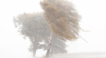 Starkregen, Hagel und starke Sturmböen ziehen über ein Feld. Foto: Julian Stratenschulte/dpa