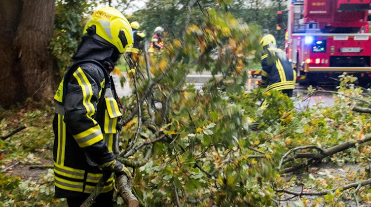 Ein Feuerwehrmann räumt Teile eines Baums von einer Straße. Foto: Daniel Bockwoldt/dpa