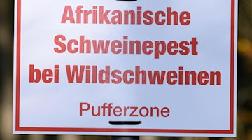 Ein Schild mit der Aufschrift "Afrikanische Schweinepest bei Wildschweinen". Foto: Sebastian Kahnert/dpa-Zentralbild/ZB/Archivbild
