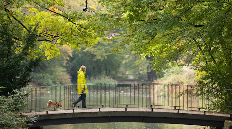 Eine Frau geht mit ihrem Hund in einem Park über eine Brücke. Foto: Sebastian Kahnert/dpa-Zentralbild/dpa/Archivbild