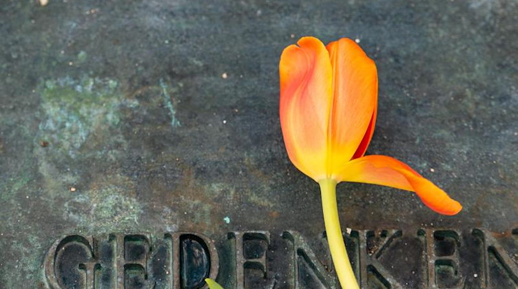 «Wir gedenken» steht auf einer Tafel auf dem Gelände des ehemaligen Konzentrationslagers. Foto: Philipp Schulze/dpa/Archivbild