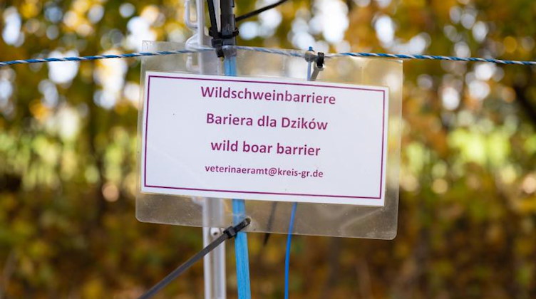 Ein Schild mit der Aufschrift «Wildschweinbarriere» hängt an einem Zaun. Foto: Sebastian Kahnert/dpa-Zentralbild/dpa/Archiv