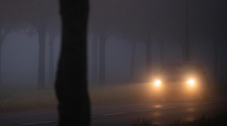 Ein Auto fährt im Nebel durch eine Allee. Foto: Sebastian Gollnow/dpa/Symbolbild