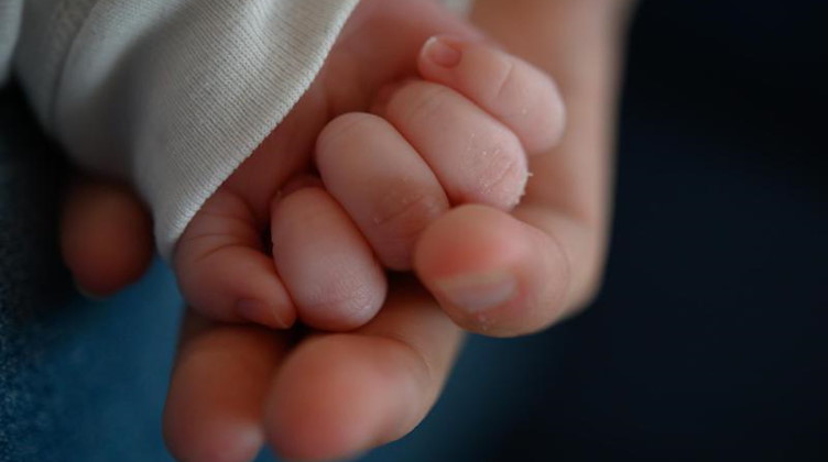 Die Hand eines zwei Wochen alten Säuglings liegt in der Hand seiner Mutter. Foto: Sebastian Gollnow/dpa/Symbolbild