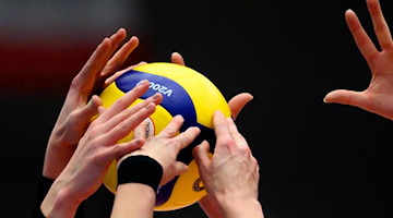 Volleyballspielerinnen am Ball. Foto: Robert Michael/dpa-Zentralbild/dpa/Symbolbild