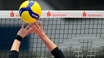 Hände am Ball bei einem Volleyballspiel. / Foto: Robert Michael/dpa-Zentralbild/dpa/Symbolbild