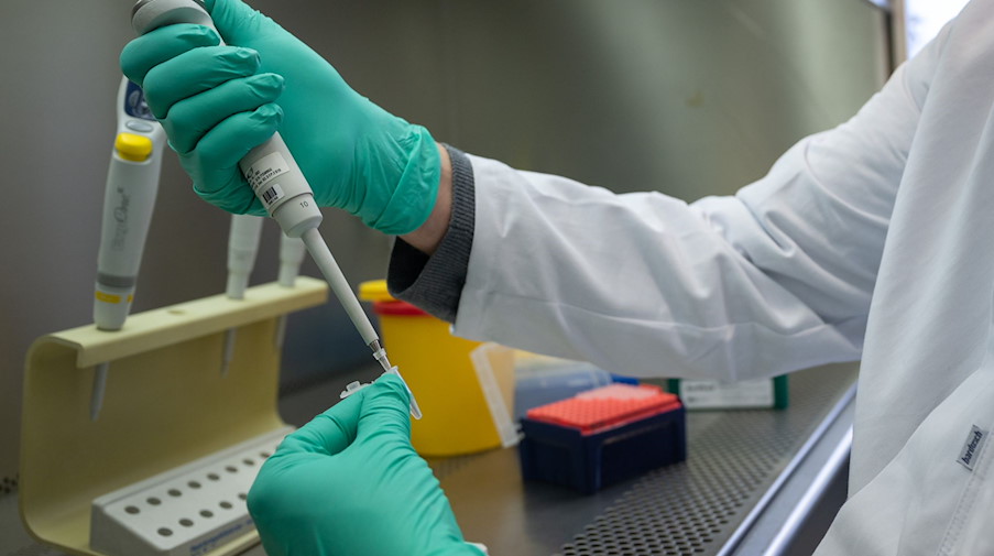 Ein PCR-Test wird für die Analyse auf Mutationen des Coronavirus vorbereitet. / Foto: Sebastian Gollnow/dpa/Archivbild