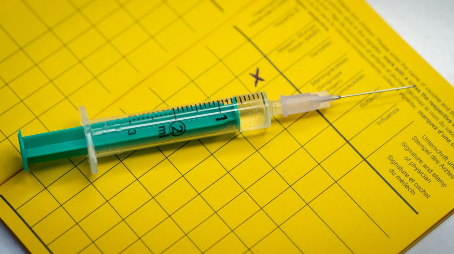 Eine Spritze liegt auf einem Impfpass. / Foto: Friso Gentsch/dpa/Illustration