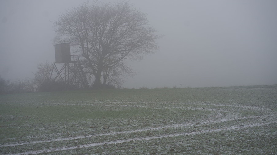 Ein Baum steht im Nebel auf einem Feld. / Foto: Thomas Frey/dpa/Symbolbild