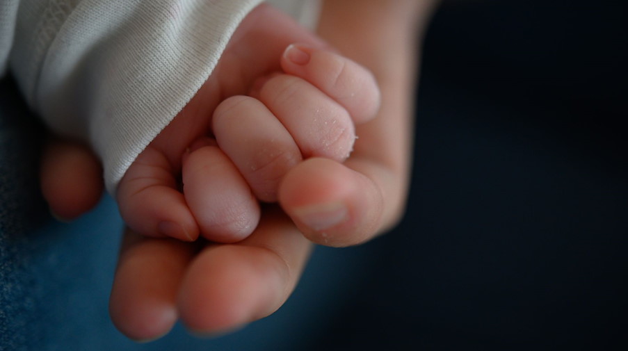 Die Hand eines zwei Wochen altes Neugeborenen liegt in der Hand seiner Mutter. / Foto: Sebastian Gollnow/dpa/Symbolbild