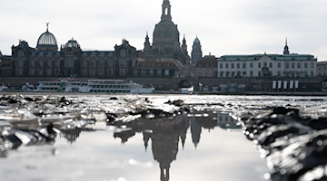 Die Frauenkirche spiegelt sich am Ufer der Elbe in einer Pfütze. / Foto: Sebastian Kahnert/dpa-Zentralbild/dpa/Archivbild