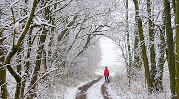 Mit Schnee bedeckt ist die Landschaft an einem Waldweg. / Foto: Patrick Pleul/dpa-Zentralbild/dpa/Symbolbild