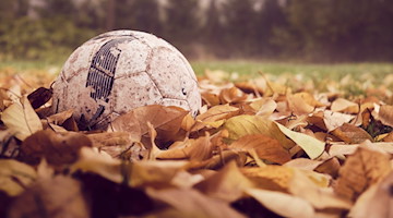 Symbolbild Fußball / pixabay danielkirsch