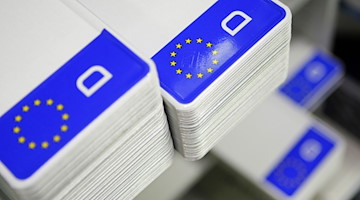 Nummernschild-Rohlinge mit Euro-Kennzeichen und dem «D» für Deutschland. / Foto: David-Wolfgang Ebener/dpa