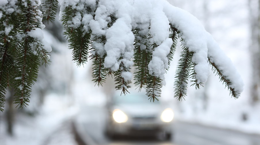 Ein Auto fährt hinter einem schneebedeckten Zweig über die Straße. / Foto: Matthias Bein/dpa-Zentralbild/dpa/Symbolbild
