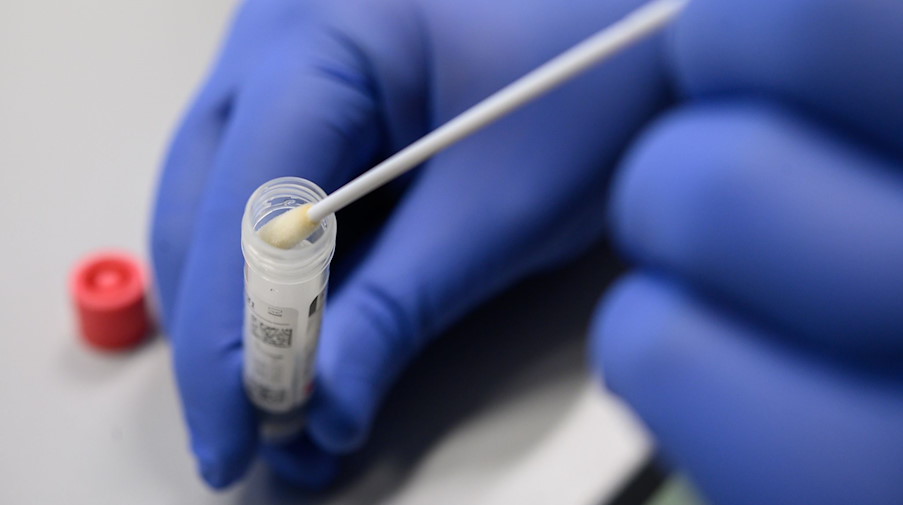 Ein Mann zeigt einen Abstrich für das Testverfahren auf das Virus Sars-CoV-2. / Foto: Sebastian Gollnow/dpa/Symbolbild