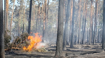 Letzte Feuer lodern nach einem Waldbrand. / Foto: Jan Woitas/zb/dpa/Symbolbild