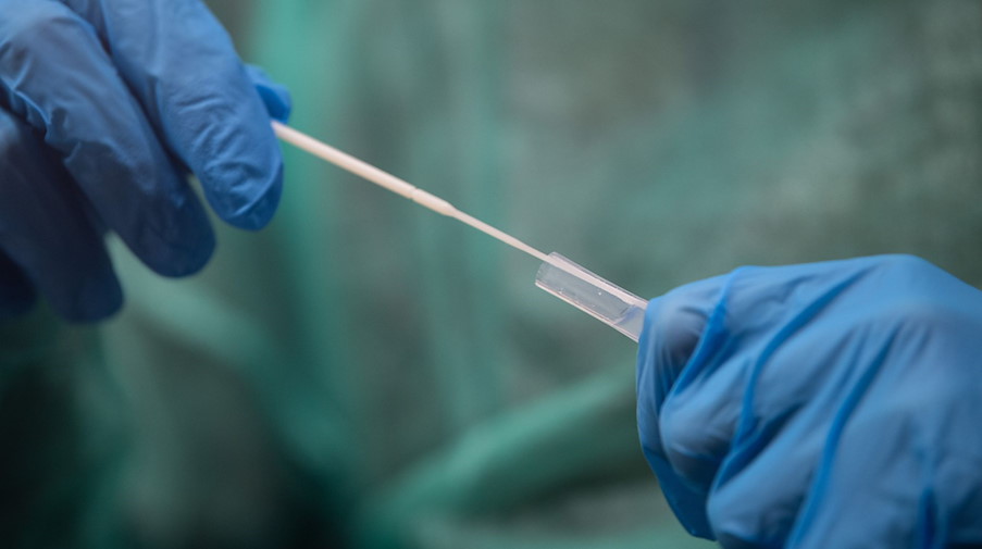 Ein Mitarbeiter hält ein Abstrichstäbchen für die Durchführung eines Corona-Tests in der Hand. / Foto: Sebastian Gollnow/dpa/Symbolbild