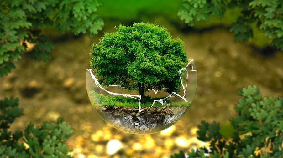 Symbolbild Umwelt / pixabay ejaugsburg