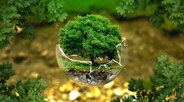 Symbolbild Umwelt / pixabay ejaugsburg