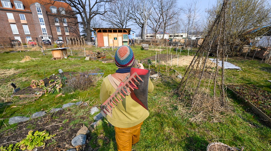 Sebastian Kaiser, Mitglied eines Gemeinschaftsgartens, läuft mit Gartengeräten durch die Anlage. / Foto: Robert Michael/dpa-Zentralbild/dpa