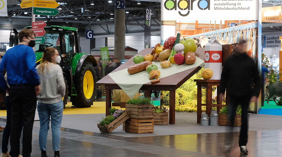 Ein Tisch mit überdimensionierten Modellen von Nahrungsmitteln steht auf der Messe Agra 2022. / Foto: Sebastian Willnow/dpa