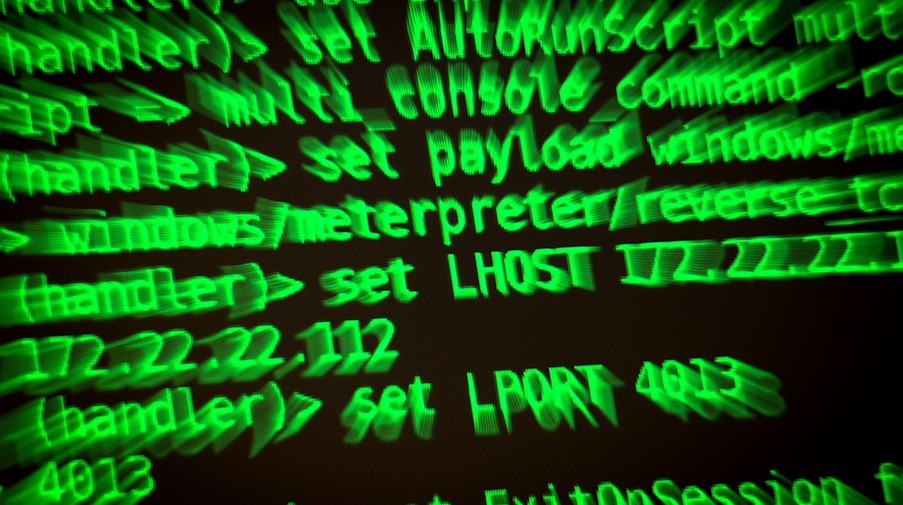 Buchstaben und Zahlen eines Hack-Programms leuchten auf einem Bildschirm. / Foto: Sina Schuldt/dpa/Symbolbild