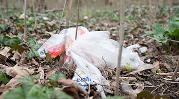 Eine Mülltüte liegt in einem Waldstück. / Foto: Sebastian Kahnert/dpa/Symbolbild