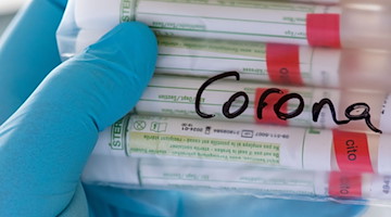 Proben für Corona-Tests werden für die weitere Untersuchung vorbereitet. / Foto: Hendrik Schmidt/dpa-Zentralbild/Symbolbild