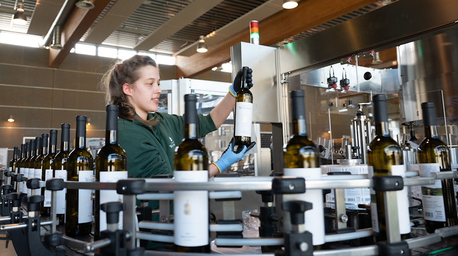 Weinküferin Anna Eichhorn kontrolliert an einer Abfüllanlage eine Flasche Weißwein der Sorte «Bacchus trocken». / Foto: Sebastian Kahnert/dpa-Zentralbild/dpa