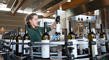 Weinküferin Anna Eichhorn kontrolliert an einer Abfüllanlage eine Flasche Weißwein der Sorte «Bacchus trocken». / Foto: Sebastian Kahnert/dpa-Zentralbild/dpa