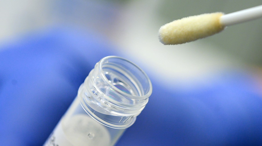 Ein Abstrich für das Testverfahren auf das Coronavirus. / Foto: Sebastian Gollnow/dpa/Symbolbild