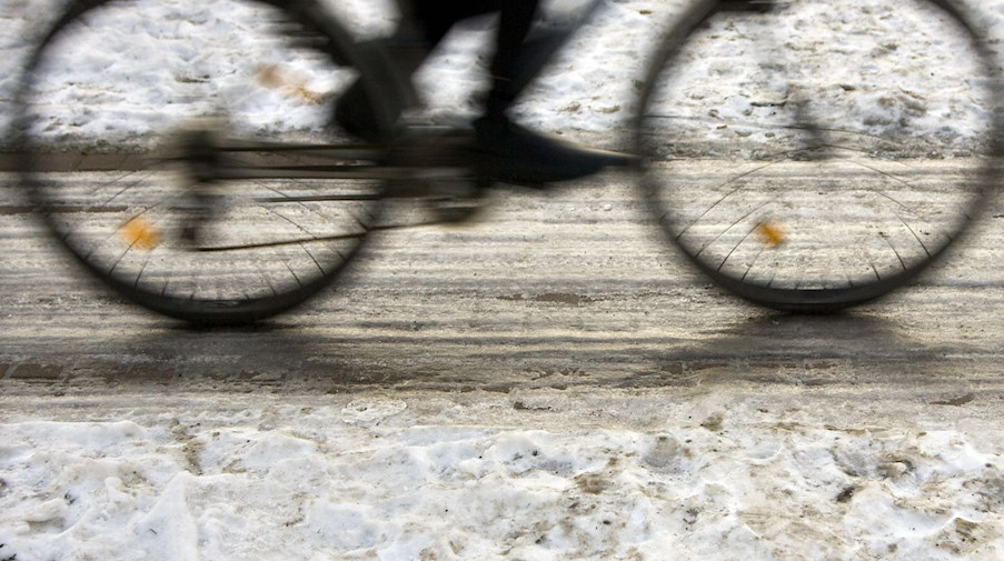 Ein Radfahrer fährt auf einem Radweg. / Foto: Arno Burgi/dpa-Zentralbild/dpa/Symbolbild