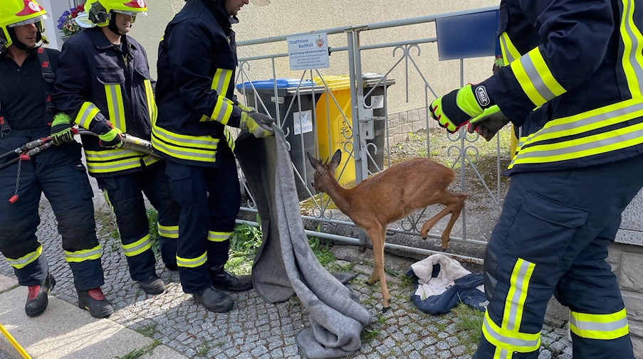Feuerwehrmänner befreien ein Rehkitz aus einem Gartentor. / Foto: B & S/dpa-Zentralbild/dpa/Archivbild