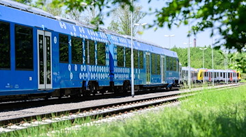 Ein Wasserstoffzug Coradia iLint des Zugherstellers Alstom steht auf dem Werksgelände.. / Foto: Julian Stratenschulte/dpa/Symbolbild