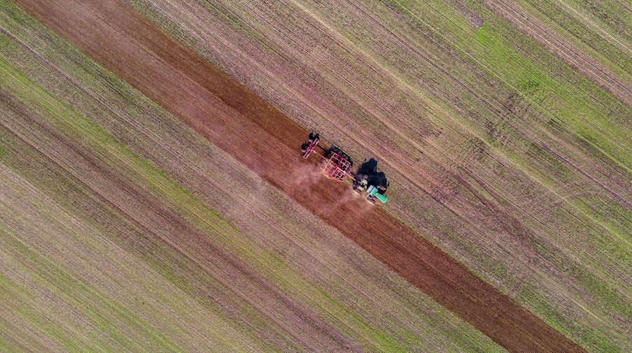 Ein Traktor zieht eine Egge über ein Feld in Pokrent. / Foto: Jens Büttner/dpa/Symbolbild