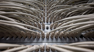 Netzwerkkabel in einem Rechenzentrum. / Foto: Marijan Murat/dpa/Symbolbild