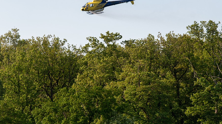 Ein Hubschrauber vom Typ AS 350 versprüht über einem Wald Mittel gegen Eichenprozessionsspinner. / Foto: Stefan Puchner/dpa/Archivbild