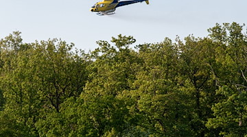 Ein Hubschrauber vom Typ AS 350 versprüht über einem Wald Mittel gegen Eichenprozessionsspinner. / Foto: Stefan Puchner/dpa/Archivbild