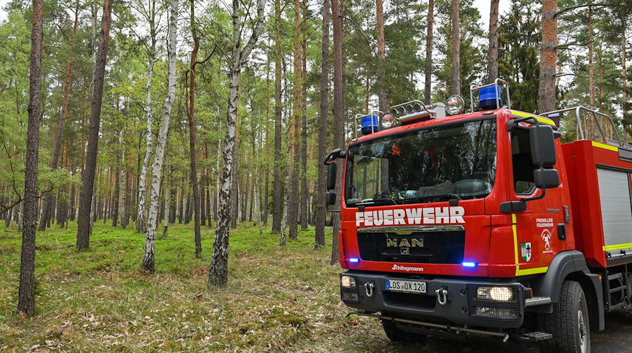 Ein Löschfahrzeug der Freiwilligen Feuerwehr steht in einem Wald. / Foto: Patrick Pleul/dpa/Archivbild
