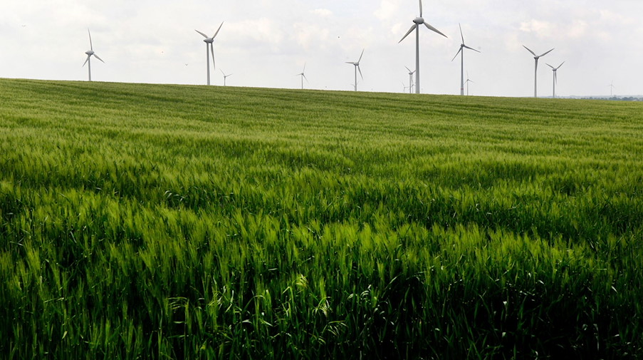 Windkraftanlagen hinter einem Feld. / Foto: Roland Weihrauch/dpa/Symbolbild
