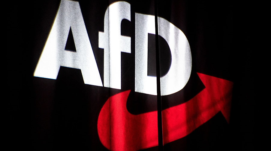 Das Logo der AfD wird beim Bundesparteitag auf einen Vorhang projiziert. / Foto: Sina Schuldt/dpa