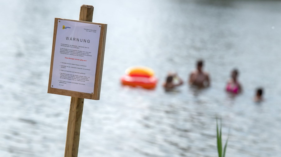 Ein Schild an einem See warnt vor Blaualgen. / Foto: Sina Schuldt/dpa/Symbolbild