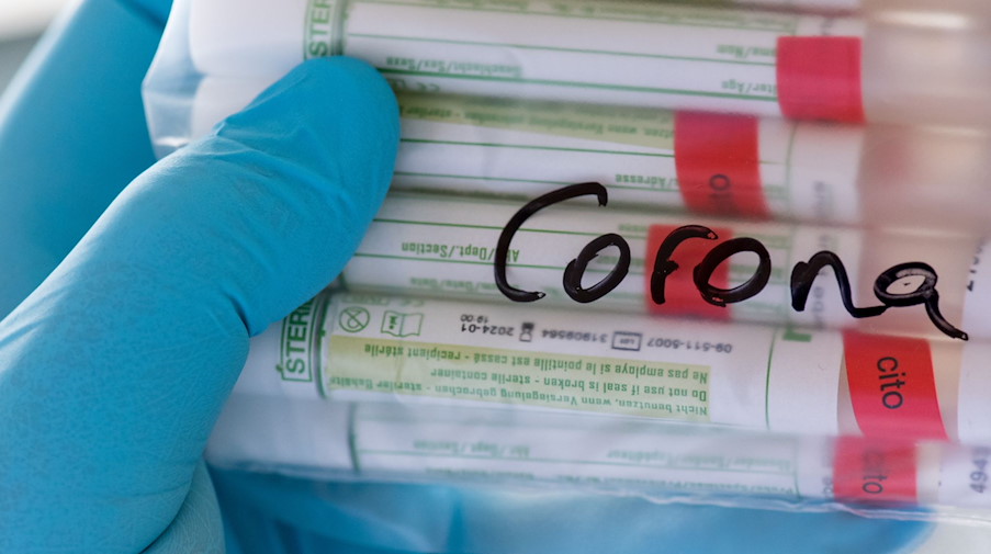 Proben für Corona-Tests werden im Diagnosticum-Labor in Plauen für die weitere Untersuchung vorbereitet. / Foto: Hendrik Schmidt/dpa-Zentralbild/Symbolbild