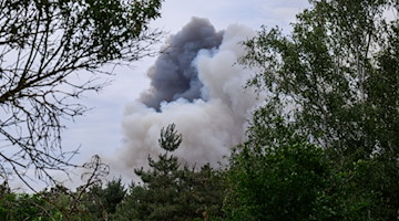 Rauch steigt aus einem Waldbrandgebiet in der Gohrischheide in den Himmel. / Foto: Robert Michael/dpa