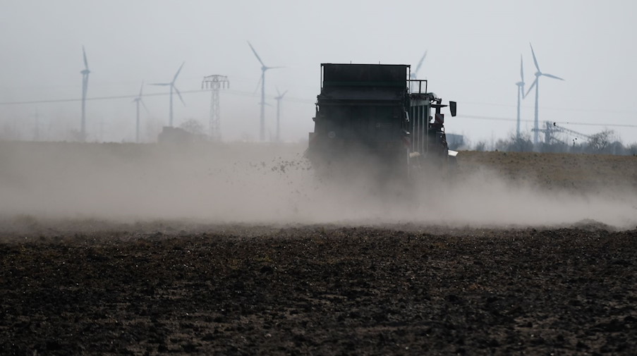 Ein Traktor bringt Dünger aus, wobei als Folge von Dürre viel Staub aufgewirbelt wird. / Foto: Sebastian Willnow/dpa-Zentralbild/dpa/Symbolbild