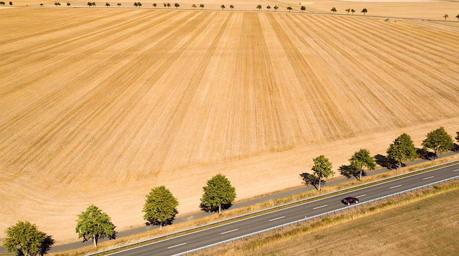 Ein Auto fährt über eine Straße zwischen abgeernteten Feldern hindurch. / Foto: Jan Woitas/dpa-Zentralbild/dpa/Symbolbild
