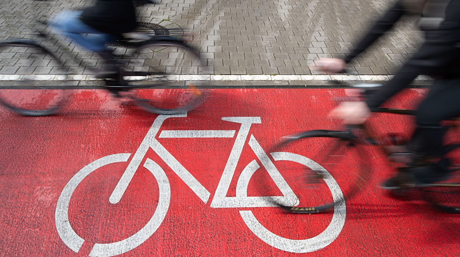 Radfahrer fahren auf einem Radweg. / Foto: Friso Gentsch/dpa/Symbolbild