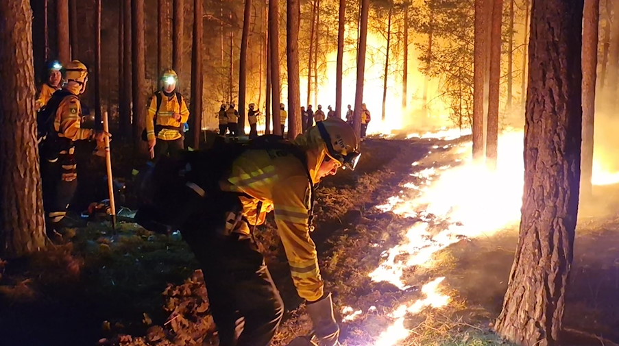 Kräfte der Organisation @fire legen Gegenfeuer, um die weitere Ausbreitung des Brandes zu verhindern. / Foto: Cevin Dettlaff/dpa-Zentralbild/dpa